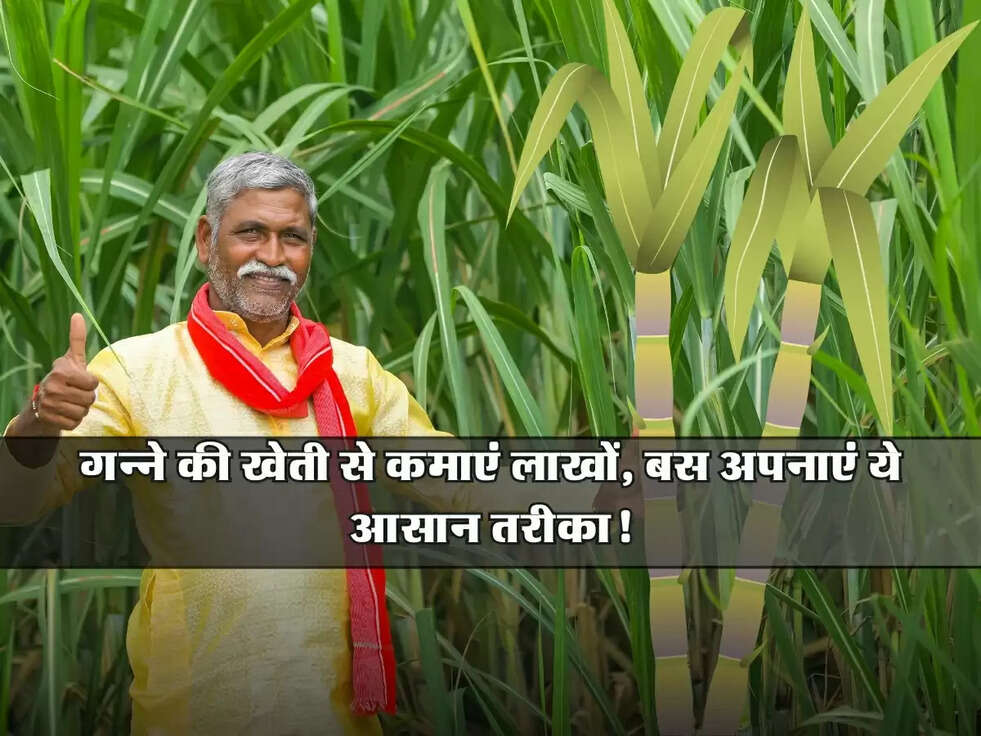 Sugarcane Cultivation: गन्ने की खेती से कमाएं लाखों, बस अपनाएं ये आसान तरीका!