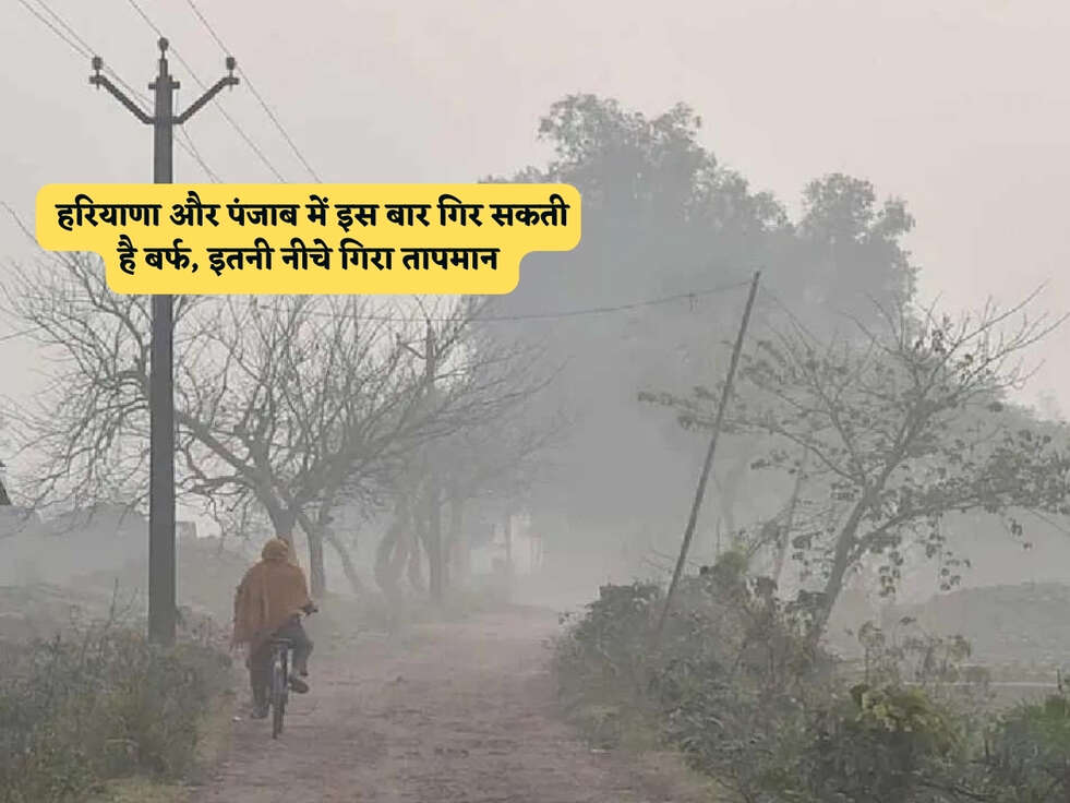 Haryana Weather : हरियाणा और पंजाब में इस बार गिर सकती है बर्फ, इतनी नीचे गिरा तापमान&nbsp;