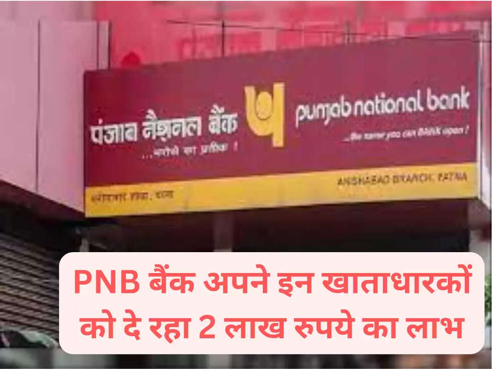 pnb loan