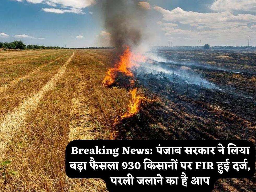 Breaking News: पंजाब सरकार ने लिया बड़ा फैसला 930 किसानों पर FIR हुई दर्ज, परली जलाने का है आप