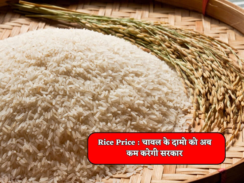 Rice Price :&nbsp;चावल के दामो को अब कम करेगी सरकार