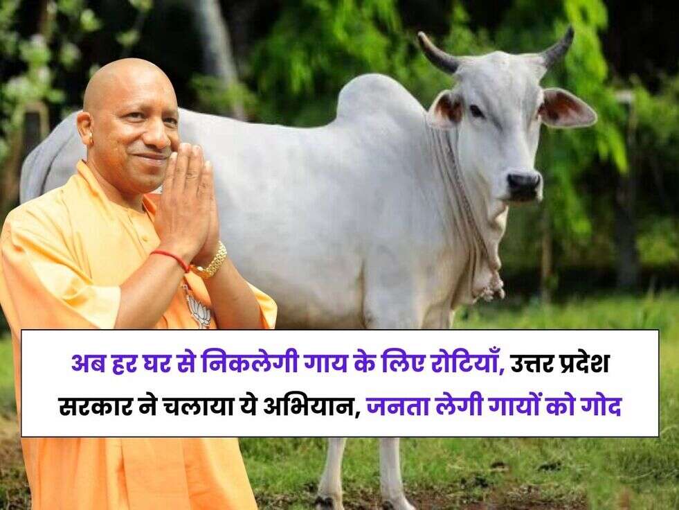 यूपी सरकार की गौ ग्रास सेवा स्कीम, गाय के भरणपोषण स्कीम,अन्ना गाय की रक्षा के लिए अभियान, up stray cattle campaign, up govt stray cattle campaign feeding, cow grass service scheme UP,योगी सरकार की नई पहल,गाय के लिए रोटी,yogi sarkar,
