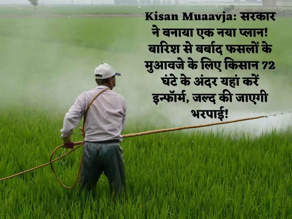 Kisan Muaavja: सरकार ने बनाया एक नया प्लान! बारिश से बर्बाद फसलों के मुआवजे के लिए किसान 72 घंटे के अंदर यहां करें इन्फॉर्म, जल्द की जाएगी भरपाई!