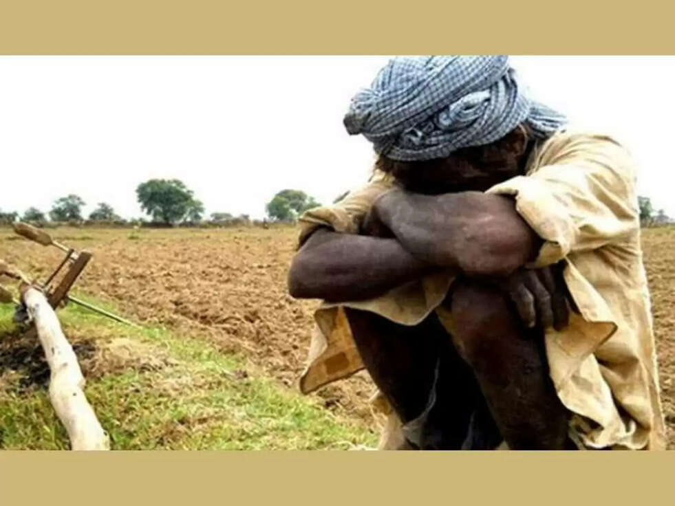 Fasal Bima Yojana:एक्सपर्ट्स ने दी किसानों को जरूरी सलाह