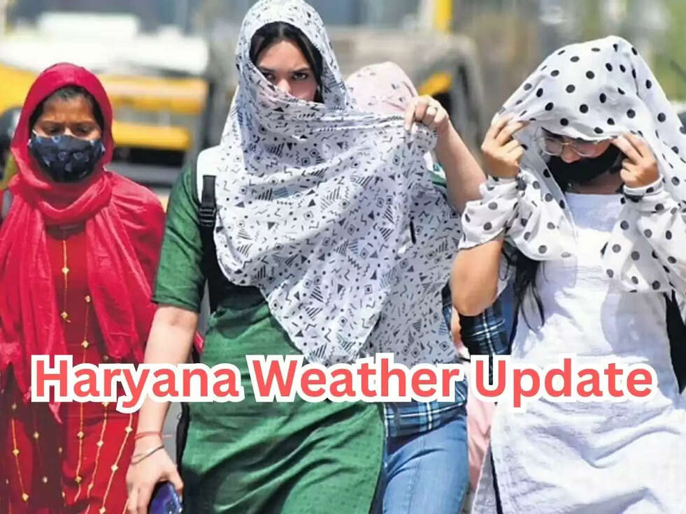 Haryana Weather Update