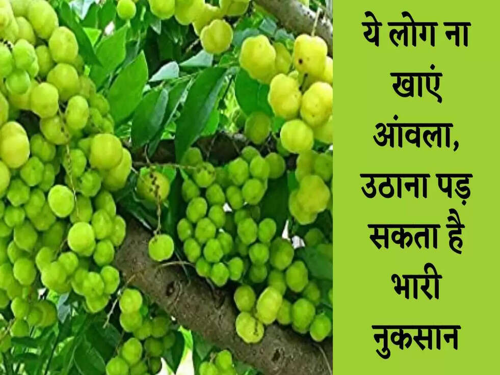 Amla: ये लोग ना खाएं आंवला, उठाना पड़ सकता है भारी नुकसान&nbsp;