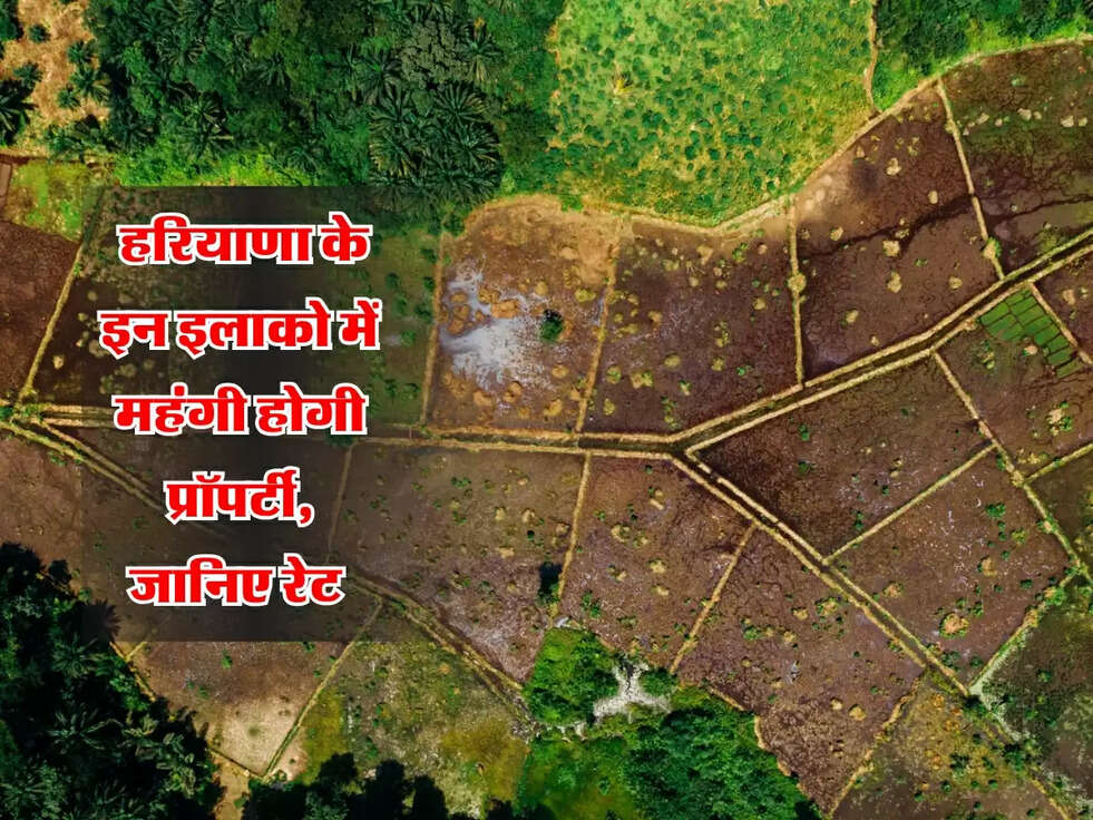 Haryana Property : हरियाणा के इन इलाको में महंगी होगी प्रॉपर्टी, जानिए रेट 