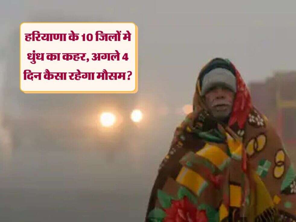 Weather: हरियाणा के 10 जिलों मे धुंध का कहर, अगले 4 दिन कैसा रहेगा मौसम?