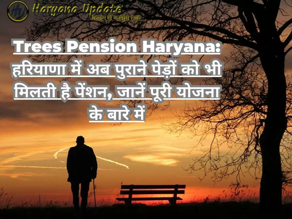 Trees Pension Haryana: हरियाणा में अब पुराने पेड़ों को भी मिलती है पेंशन, जानें पूरी योजना के बारे में
