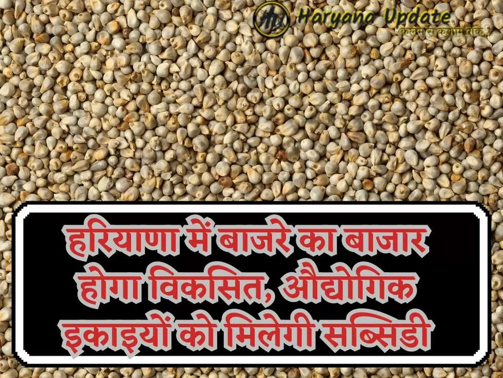 हरियाणा में बाजरे का बाजार होगा विकसित, औद्योगिक इकाइयों को मिलेगी सब्सिडी