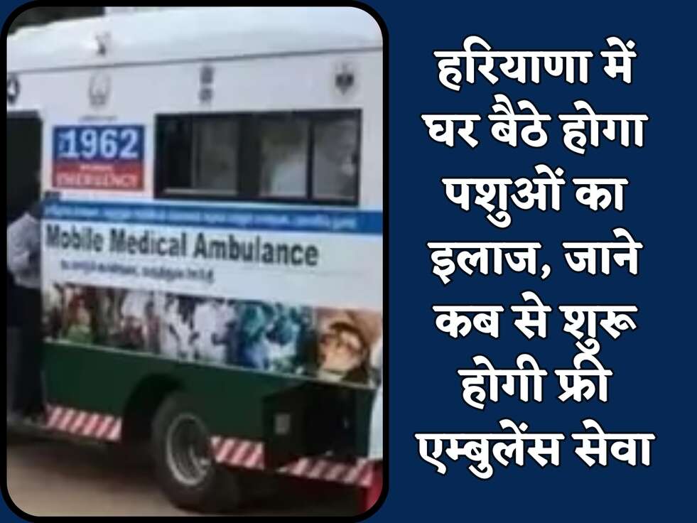 हरियाणा में घर बैठे होगा पशुओं का इलाज, जाने कब से शुरू होगी फ्री एम्बुलेंस सेवा