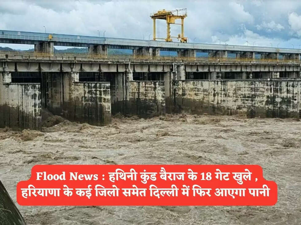 Flood News : हथिनी कुंड बैराज के 18 गेट&nbsp;खुले , हरियाणा के कई जिलो समेत दिल्ली में फिर आएगा पानी&nbsp;