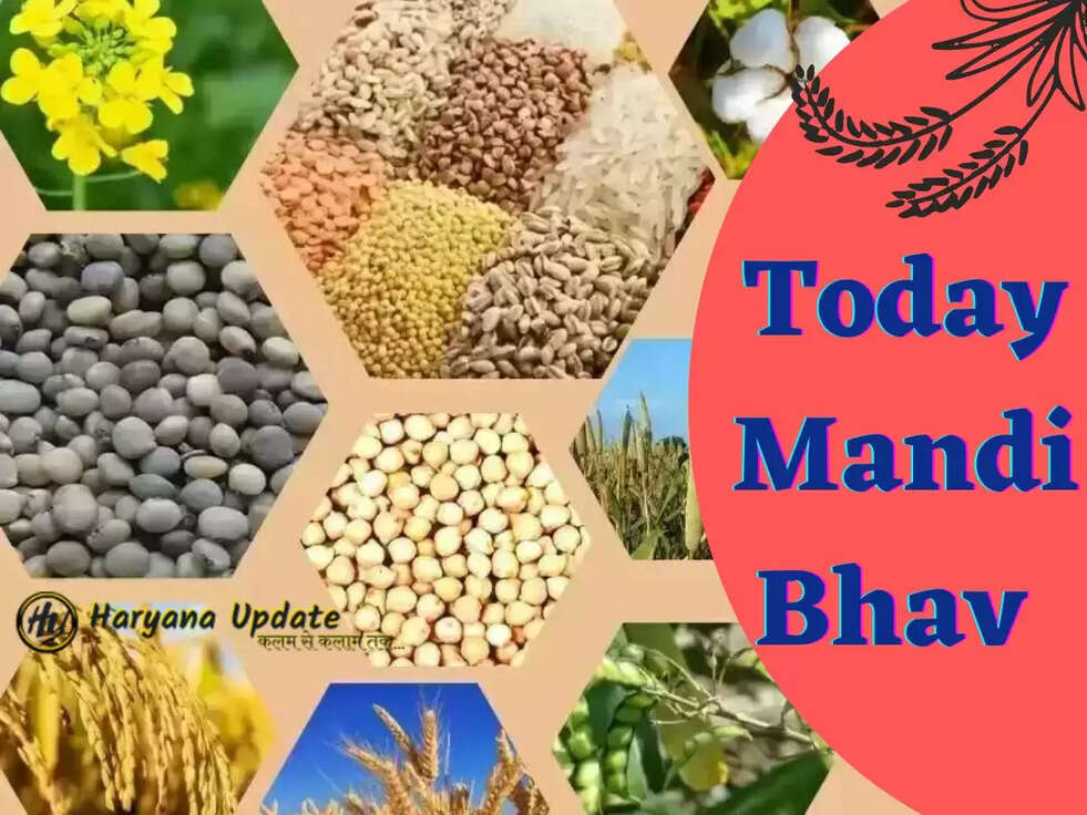 Today Mandi Bhav 