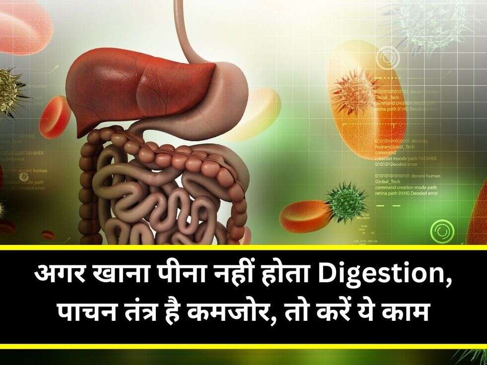 अगर खाना पीना नहीं होता Digestion, पाचन तंत्र है कमजोर, तो करें ये काम