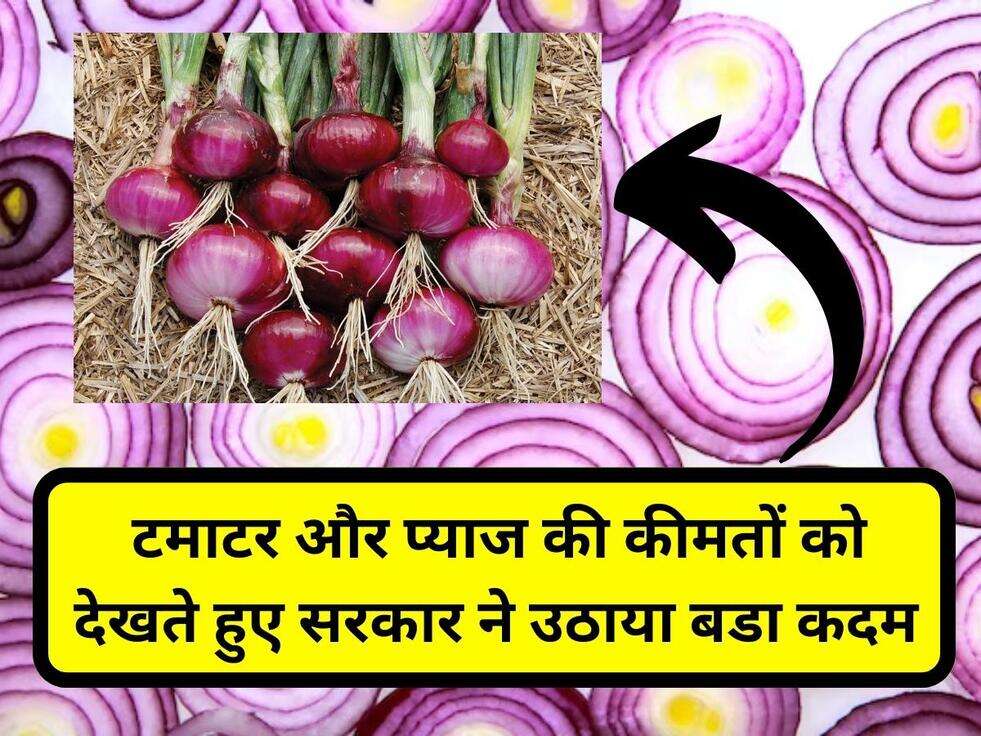 Onion Price: टमाटर और प्याज की कीमतों को देखते हुए सरकार ने उठाया बडा कदम&nbsp;