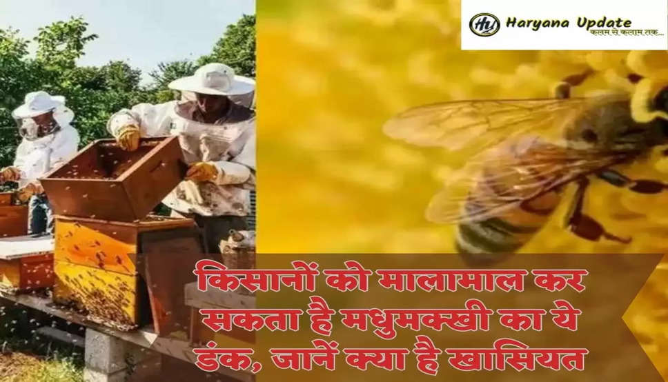 किसानों को मालामाल कर सकता है मधुमक्खी का ये डंक, जानें क्या है खासियत
