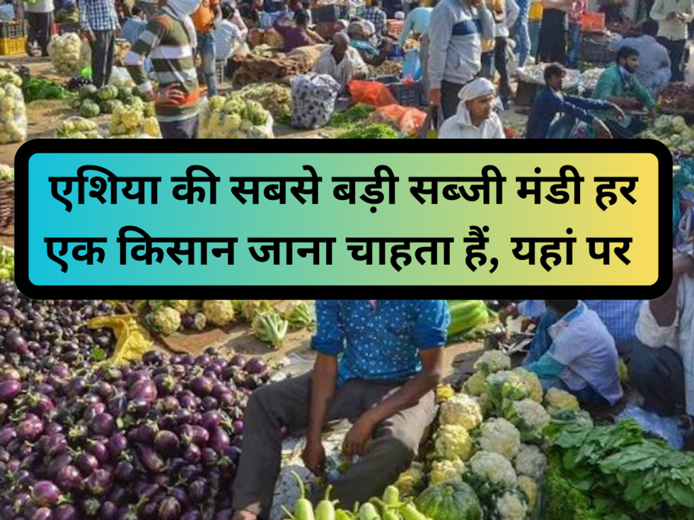 Sabse Badi Sabzi Mandi