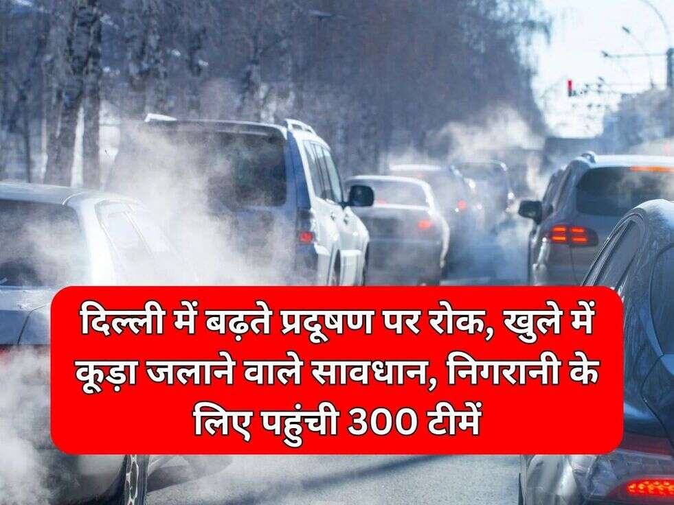 Delhi Pollution