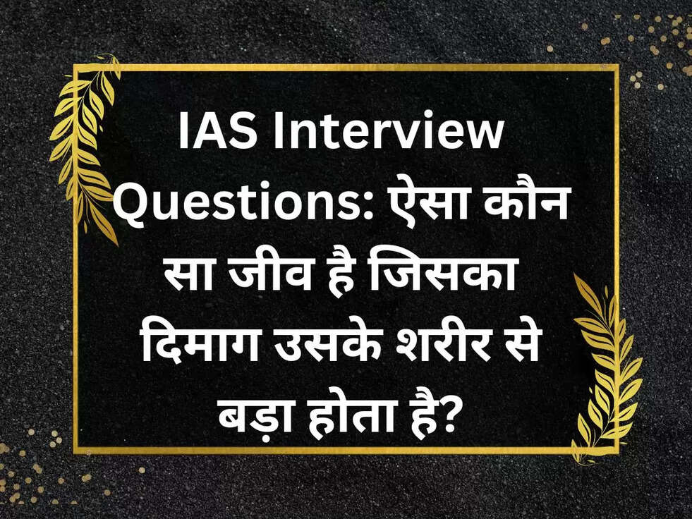 IAS Interview Questions: