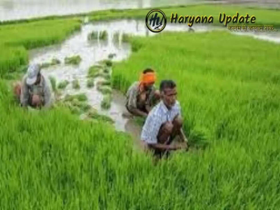 किसान भाइयो के लिए खुशखबरी? सरकार दे रही है खेती में इस्तेमाल होने वाली इस मशीन पर मिल रहे 40 हजार रुपये, जल्दी करें आवेदन