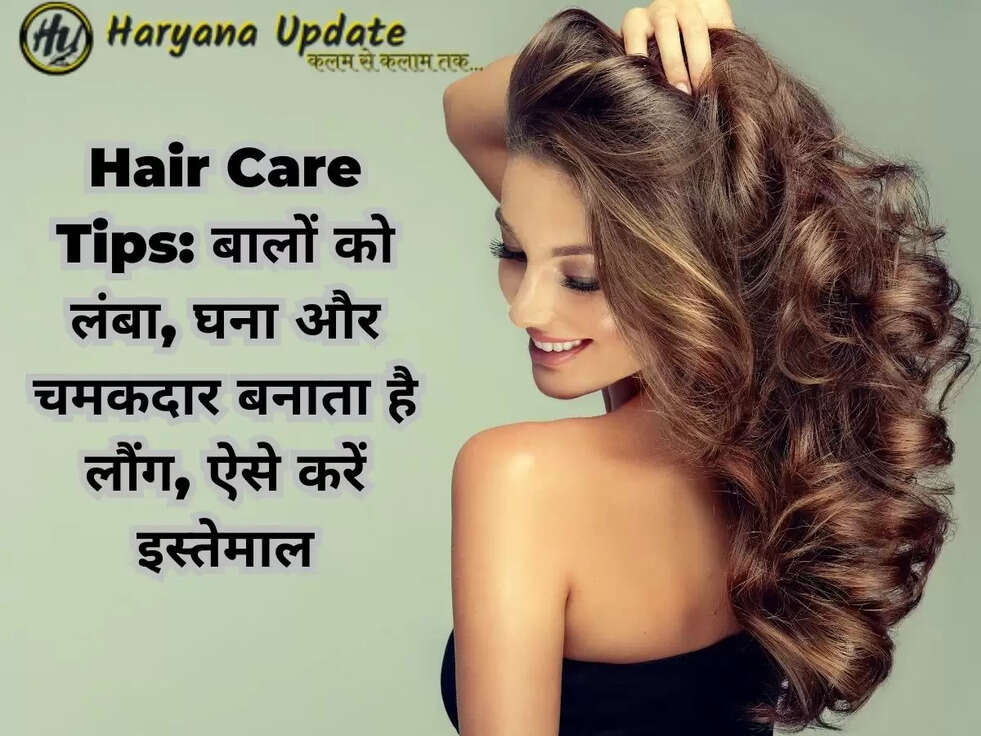 Hair Care Tips: बालों को लंबा, घना और चमकदार बनाता है लौंग, ऐसे करें इस्तेमाल