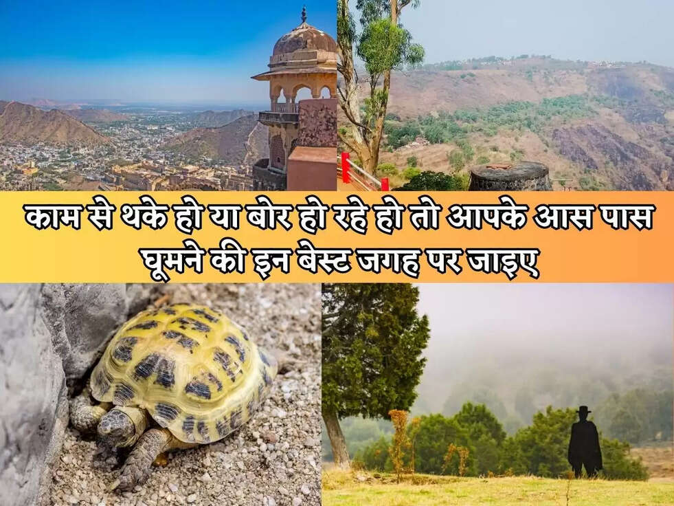 Lifestyle : काम से थके हो या बोर हो रहे हो तो आपके आस पास घूमने की इन बेस्ट जगह पर जाइए, वो भी बिल्कुल मुफ्त&nbsp;