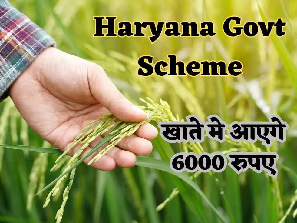 Haryana Govt Scheme: किसानों के खाते मे आएगे 6000 रुपए, सरकार ने किसानों की दी खुशियो की सौगात  