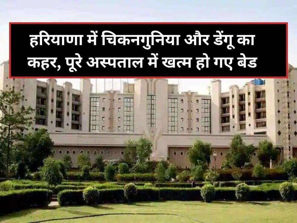 हरियाणा में चिकनगुनिया और डेंगू का कहर, पूरे अस्पताल में खत्म हो गए बेड