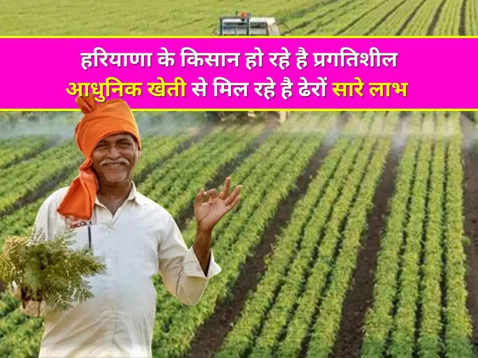 हरियाणा के किसान हो रहे है प्रगतिशील, आधुनिक खेती से मिल रहे है ढेरों सारे लाभ&nbsp;