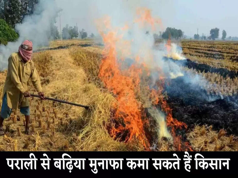 Paddy Stubble On MSP: &nbsp;​​​​​​​पराली से बढ़िया मुनाफा कमा सकते हैं किसान, यहाँ पर हो रही खरीदी&nbsp;