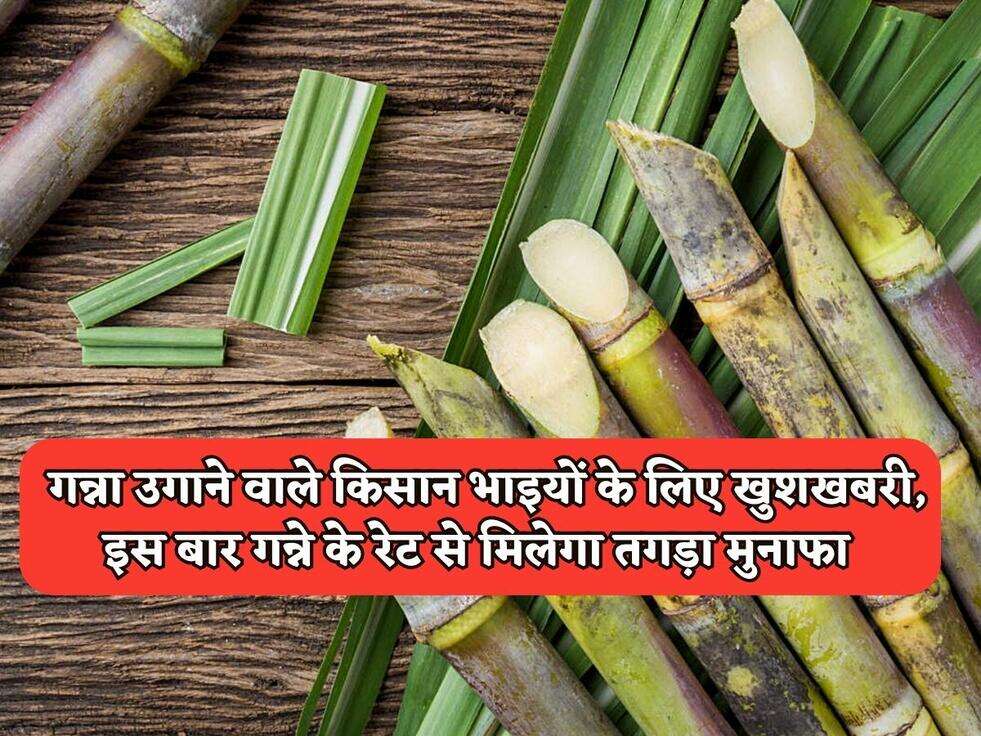 Kisan News : गन्ना उगाने वाले किसान भाइयों के लिए खुशखबरी, इस बार गन्ने के रेट से मिलेगा तगड़ा मुनाफा 
