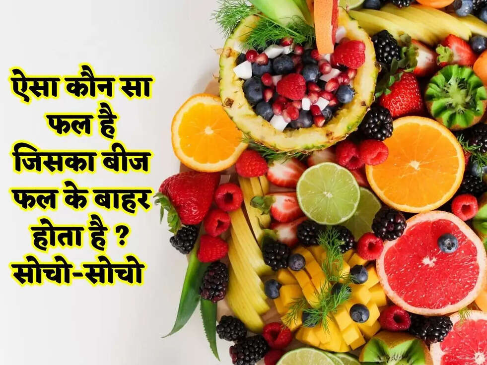 ऐसा कौन सा फल है जिसका बीज फल के बाहर होता है ?सोचो-सोचो&nbsp;