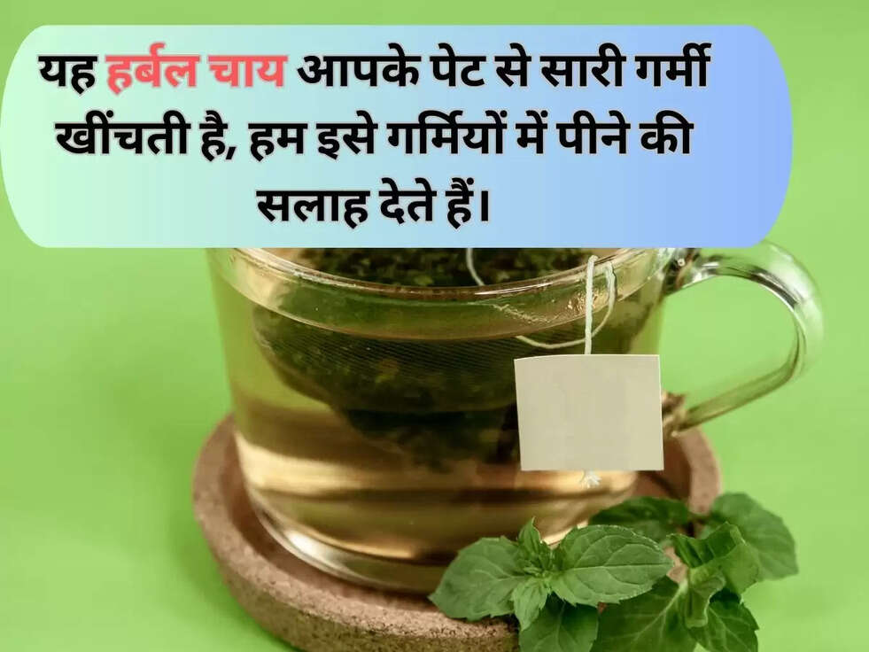 यह हर्बल चाय आपके पेट से सारी गर्मी खींचती है,&nbsp;हम इसे गर्मियों में पीने की सलाह देते हैं।