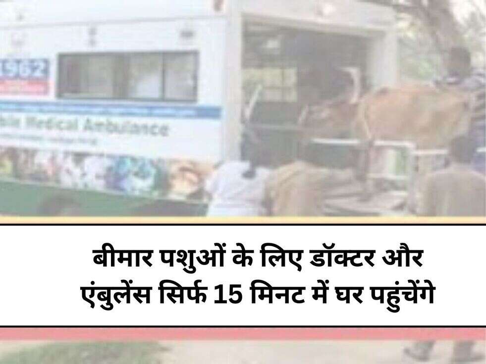 हरियाणा के कृषि मंत्री ने पशुपालकों को दिया तोहफा,&nbsp;बीमार पशुओं के लिए डॉक्टर और एंबुलेंस सिर्फ 15 मिनट में घर पहुंचेंगे