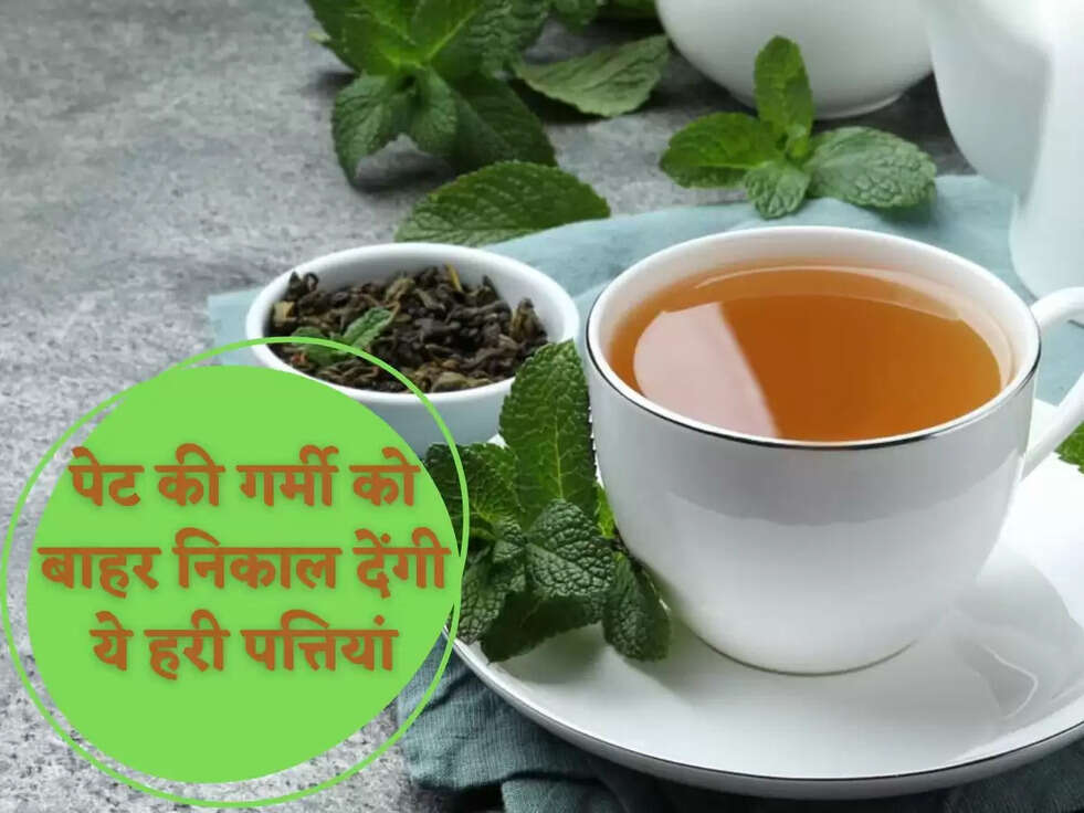 पेट की गर्मी को बाहर निकाल देंगी ये हरी पत्तियां