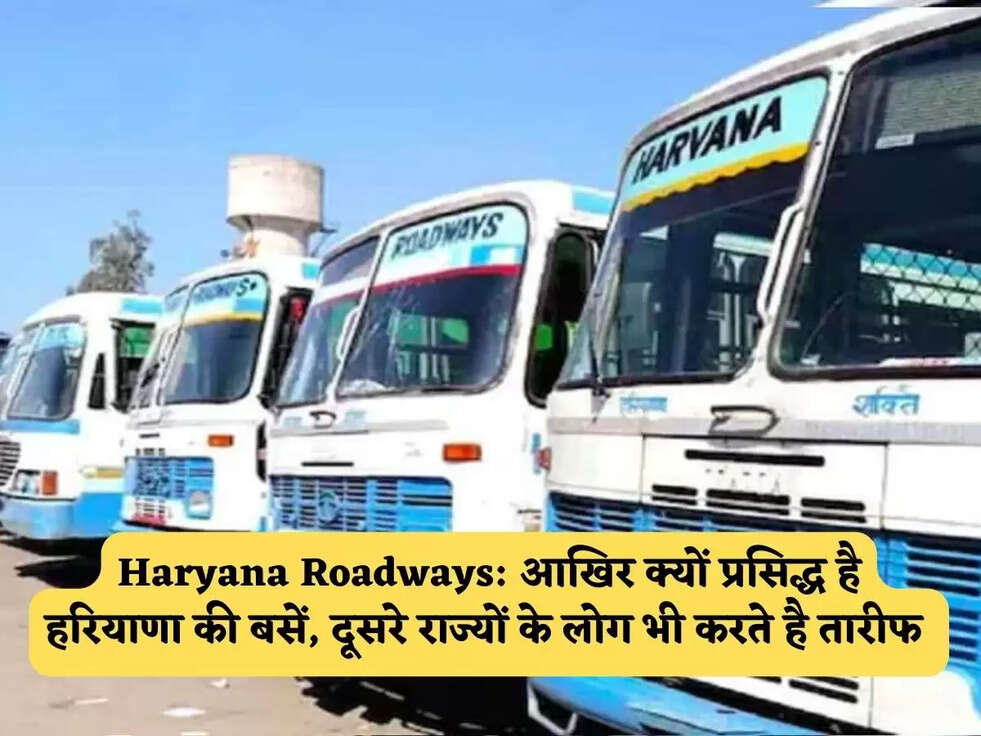 Haryana Roadways: आखिर क्यों प्रसिद्ध है हरियाणा की बसें, दूसरे राज्यों के लोग भी करते है तारीफ&nbsp;