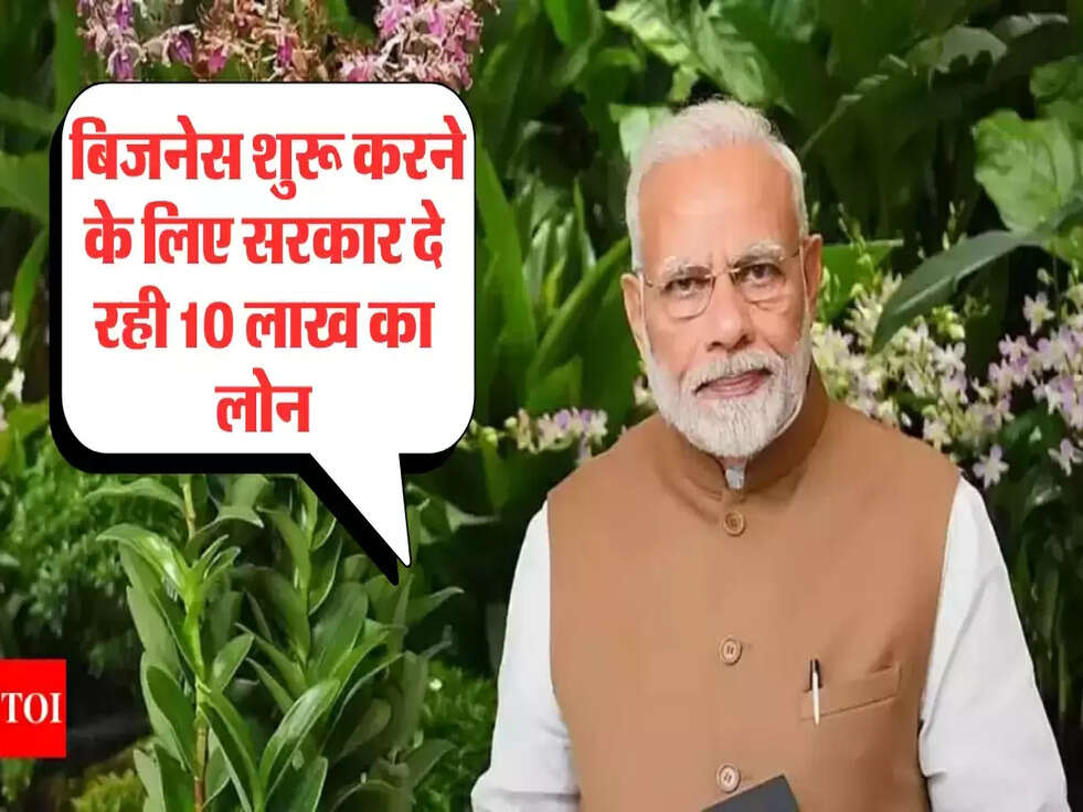  बिजनेस शुरू करने के लिए सरकार दे रही 10 लाख का लोन
