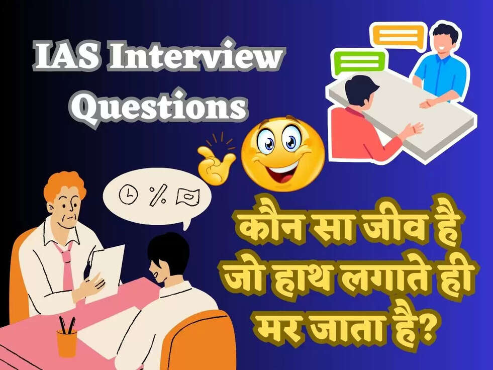 IAS Interview Questions:&nbsp;ऐसा कौन सा जीव है जो हाथ लगाते ही मर जाता है?&nbsp;जवाब सुनकर हो जओगे हैरान&nbsp;
