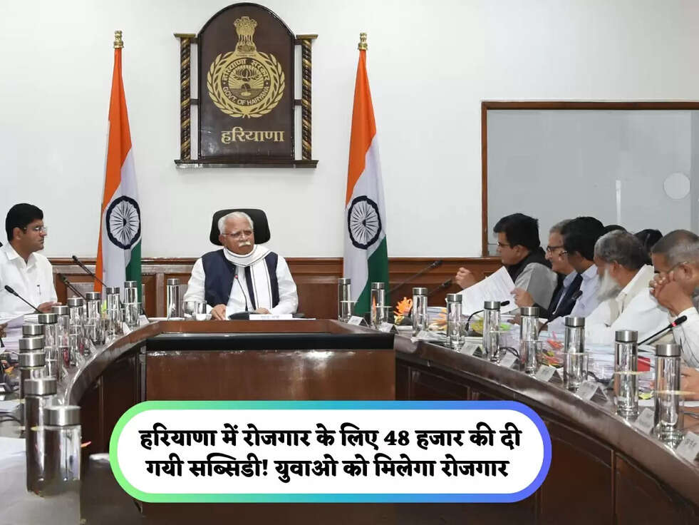 हरियाणा में रोजगार के लिए 48 हजार की दी गयी सब्सिडी! युवाओ को मिलेगा रोजगार&nbsp;