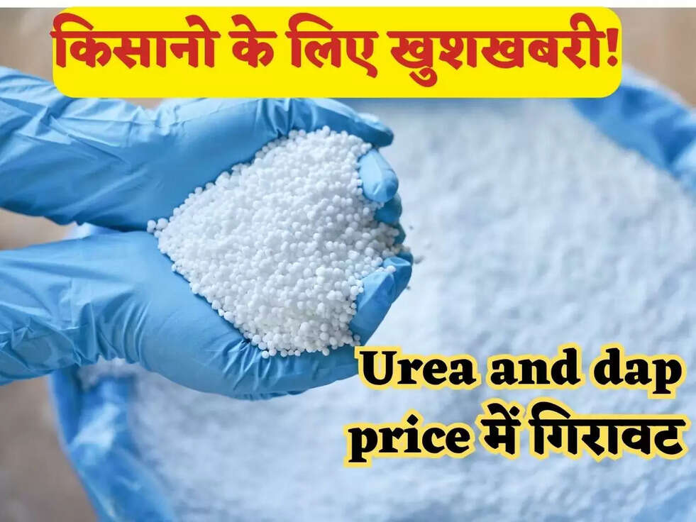 Urea and dap price में आई भारी कमी, खाद हुई सस्ती, किसानो को मिली ख़ुशी!