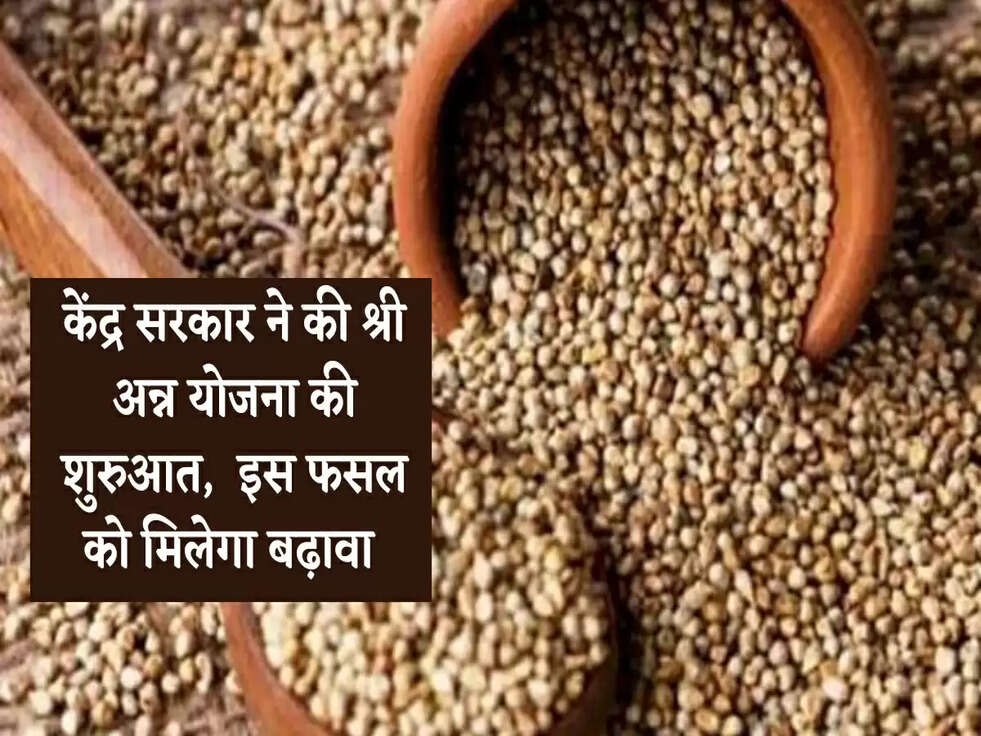 Farming: केंद्र सरकार ने की श्री अन्न योजना की शुरुआत इस फसल को मिलेगा बढ़ावा 