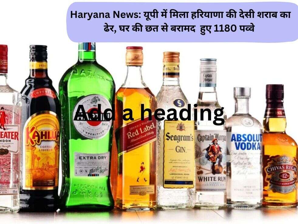 haryana news