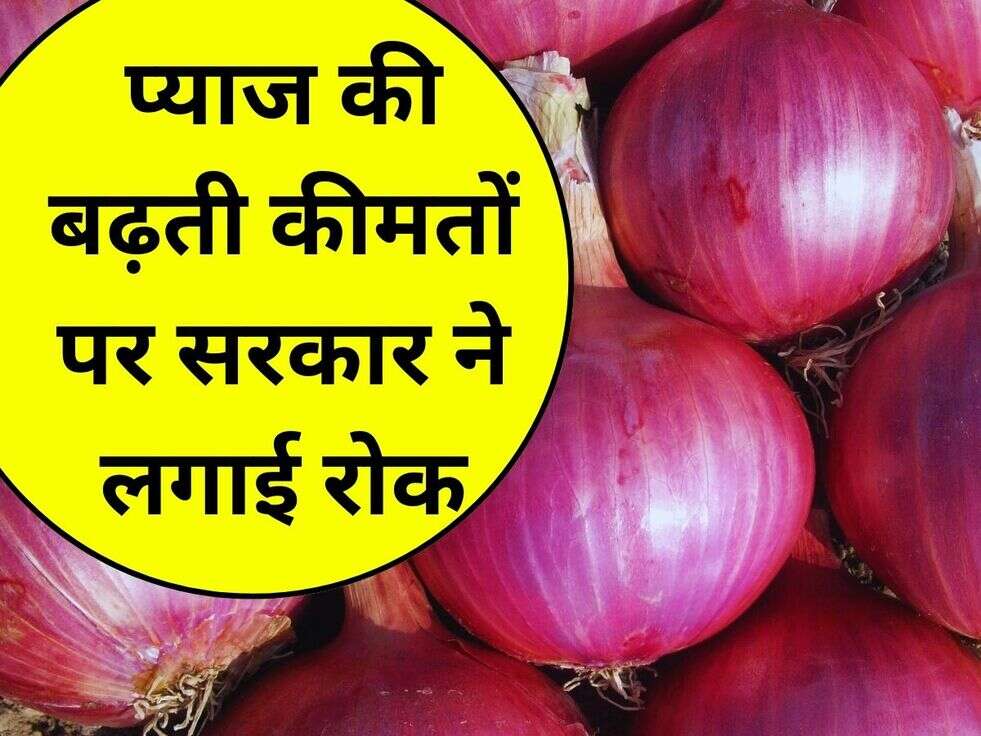 Onion Rate