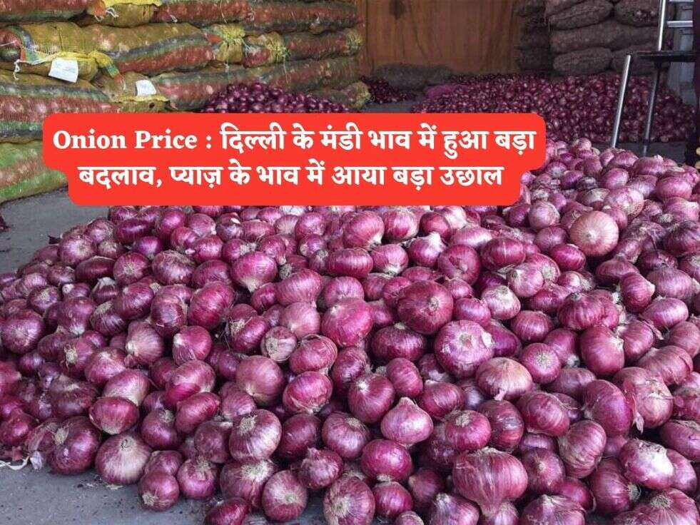 Onion Price : दिल्ली के मंडी भाव में हुआ बड़ा बदलाव, प्याज़ के भाव में आया बड़ा उछाल 