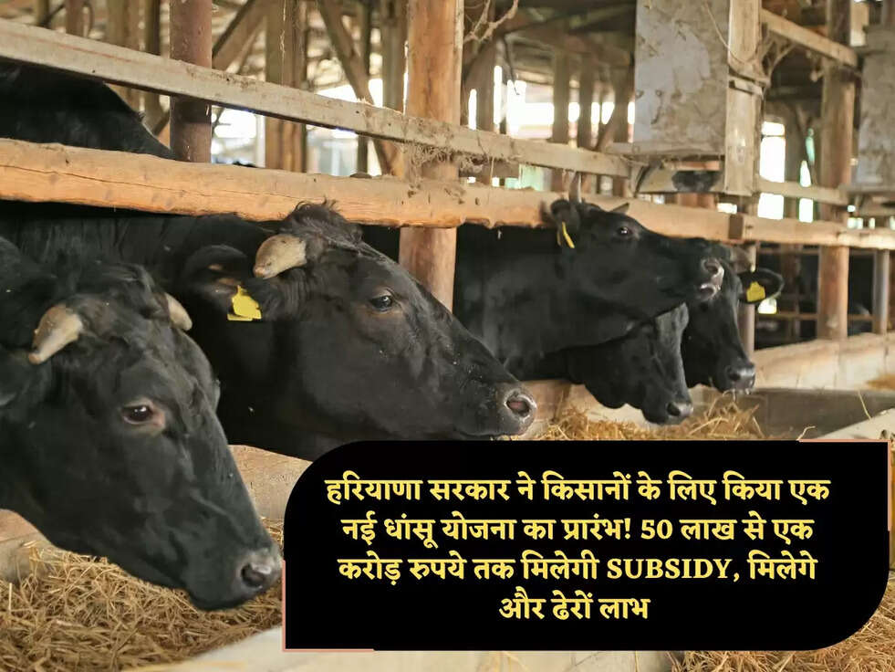 हरियाणा सरकार ने किसानों के लिए किया एक नई धांसू योजना का प्रारंभ! 50 लाख से एक करोड़ रुपये तक मिलेगी SUBSIDY, मिलेगे और ढेरों लाभ 