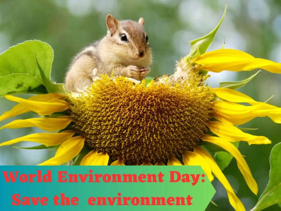World Environment Day: Save the  environment 