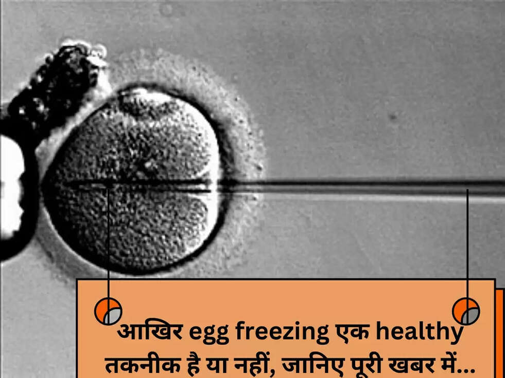 आखिर egg freezing एक healthy तकनीक है या नहीं, जानिए पूरी खबर में...