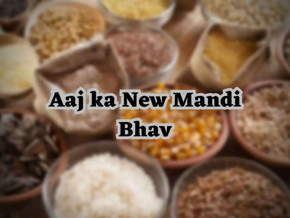 Aaj ka New Mandi Bhav:&nbsp;हरियाणा की अलग-अलग मंडियों के ताजा भाव, जानें कहां आई तेजी और कहा आई गिरावट&nbsp;