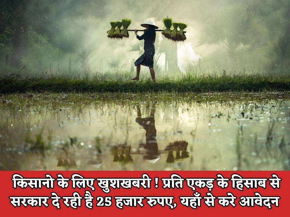 Haryana Kisan Scheme: किसानो के लिए खुशखबरी ! प्रति एकड़ के हिसाब से सरकार दे रही है 25 हजार रुपए, यहाँ से करे आवेदन&nbsp;