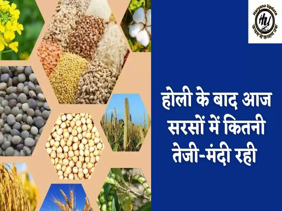 होली के बाद आज सरसों में कितनी तेजी-मंदी रही&nbsp;